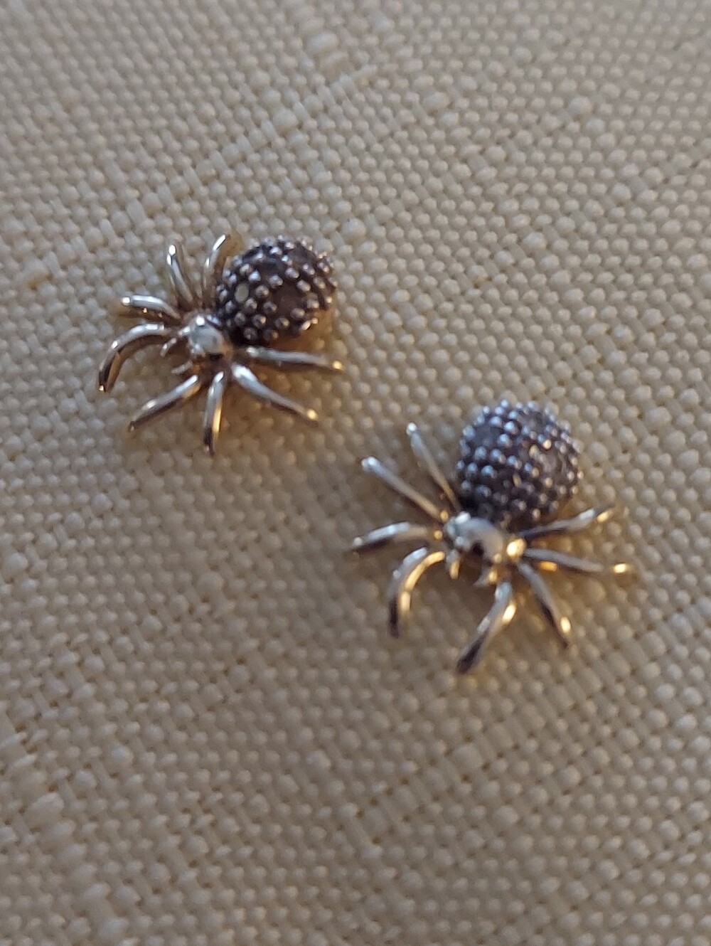 Gold/Silver Toned Spider Earrings